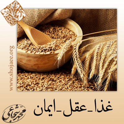 غذای مشتبه غذای مشتبه