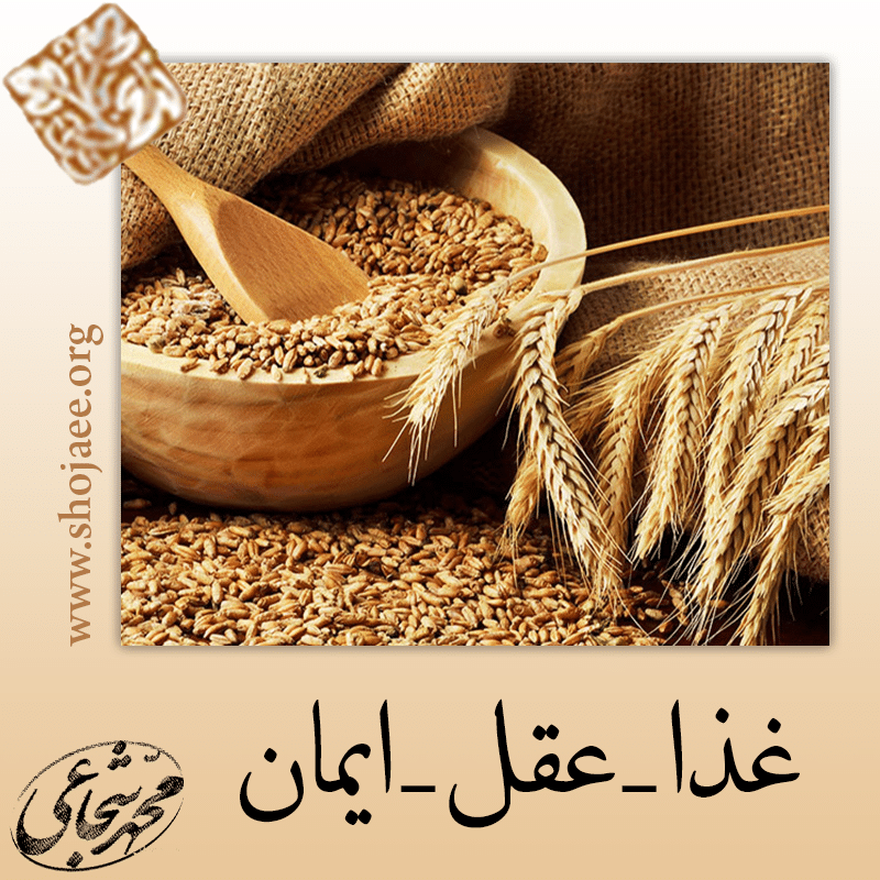 غذای مشتبه غذای مشتبه